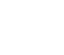Brizland Homes